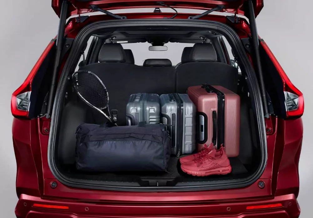 Spacious Trunk