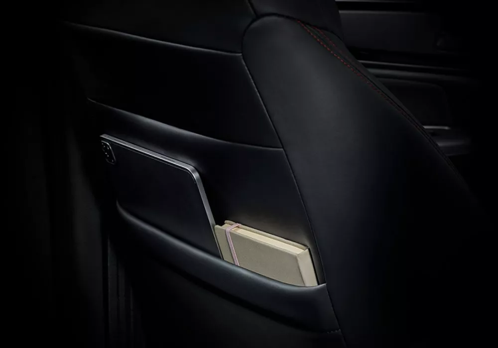Seat Back Pocket